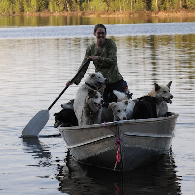 This image is of Miriam Körner, Saskatchewan's Family Literacy Day Livestream author of "Fox and Bear". She is paddling a motorboat with several of her sled dogs across a beautiful lake with forest on the shoreline.